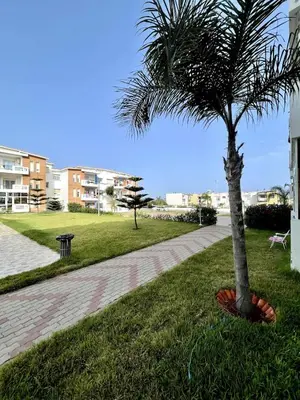 a palm tree sitting in the grass next to a sidewalk at Appartement à Sidi Rahal Piscine et Accès direct plage in Sidi Rahal