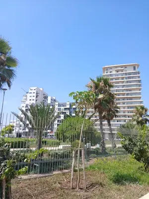 a fence with palm trees and buildings in the background at Cozy Studio Vue sur Piscine à Ocean Park Zenata City Eco in Aïn Harrouda