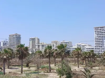 a group of palm trees in front of a city at Cozy Studio Vue sur Piscine à Ocean Park Zenata City Eco in Aïn Harrouda
