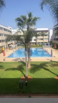 a palm tree in front of a swimming pool at Luxury apartment in Mansouria in Mansouria