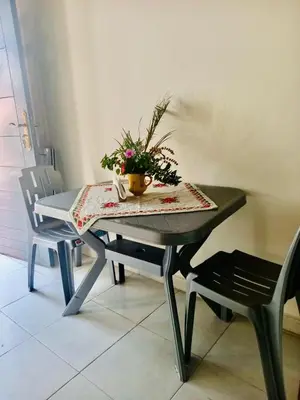 a table and a chair with a plant on it at Plage à Pied Refuge Relaxant Design Moderne in Tamaris