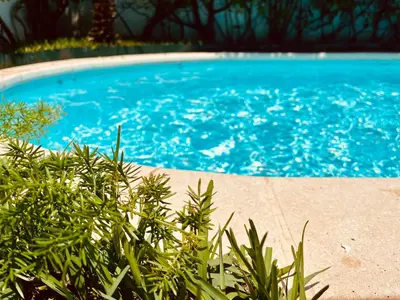 a blue swimming pool with green plants in the foreground at Charming villa in a coastal area in Casablanca