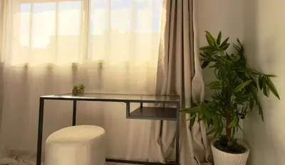 a glass table and a plant in front of a window at Charming City Retreat in Agdal - Walk to Train Station in Rabat