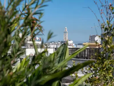 a view of a city from behind some plants at Maya Suites - Premium Luxury Stay in Casablanca