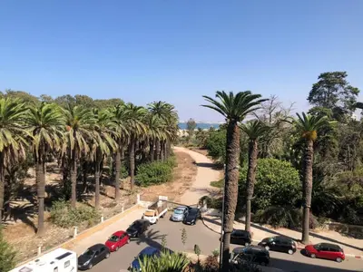a group of cars parked on a road with palm trees at CAN25 2ch au centre de mohammedia in Mohammedia