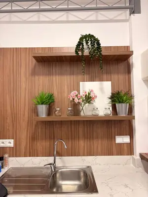 a kitchen sink with potted plants on a shelf at Elégance & Confort in Rabat