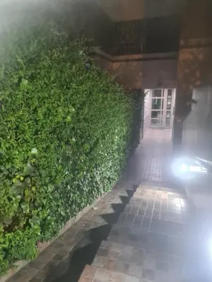 a hedge in front of a building with a street at Régina AppartHotel in Casablanca