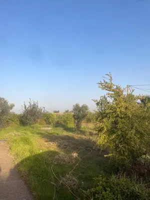 a dirt road with grass and trees on it at Villa dar deyafa jamaat fedalat in Sidi Moussa Ben Ali