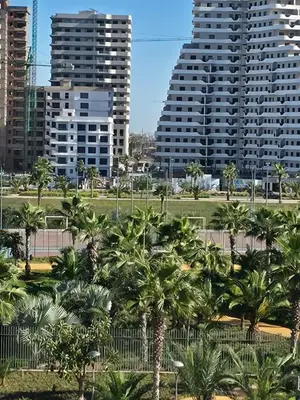 a view of palm trees and tall buildings at apartment luxe dt7 in Casablanca