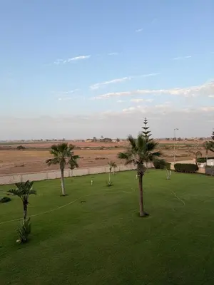 three palm trees in a field of green grass at Evasion apartment with beach and pool views in Bouznika
