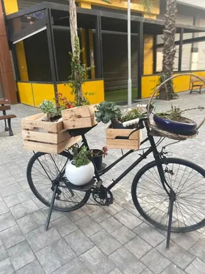 a bike with wooden crates on it with potted plants at Cozy studio with terrace - Mohammedia Center in Mohammedia