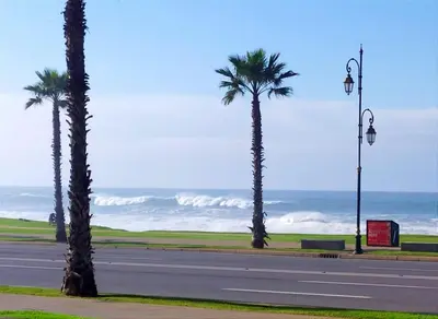two palm trees on the side of a road near the ocean at Elegant apartment with sea view in Rabat