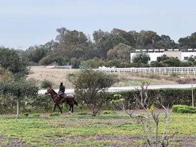 a person riding a horse in a field at Eco Gare centre 2 chambres in Bouznika