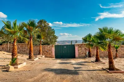 a row of palm trees in front of a gate at La Tulipe de Zaer - Maison de Campagne vue Montagnes - Piscine Privée