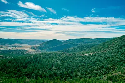 a view of a valley with trees and mountains at La Tulipe de Zaer - Maison de Campagne vue Montagnes - Piscine Privée