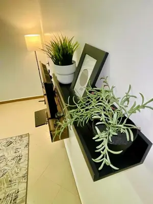 a table with potted plants on top of it at Le bon coin in Casablanca