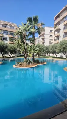 a palm tree on an island in the middle of a pool at Magnifique Appartement familial avec piscine in Mohammedia