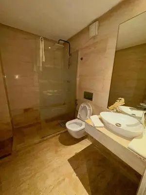 a bathroom with a toilet and a sink and a shower at Ain Diab , Luxury El amri in Casablanca
