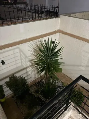 an overhead view of a palm tree on a staircase at Harhoura stay à 10min du stade Prince Moulay Abdellah ! in Temara