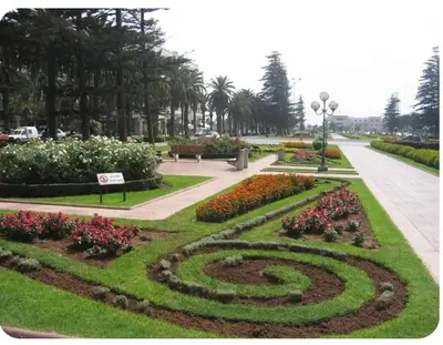Gallery image of Joyau du park in Mohammedia