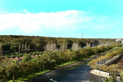 an empty street with trees on both sides of a road at Appartement familial convivial in Rabat