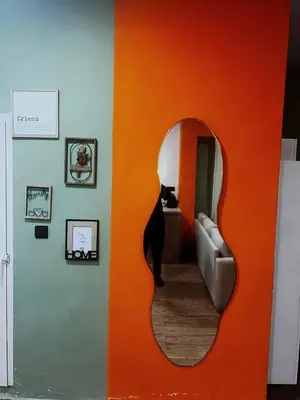 a black cat looking at its reflection in a mirror at Olive & Orange Modern Studio in Rabat