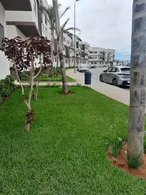 a small tree in the grass next to a street at Dar Lakbira Bouznika in Bouznika