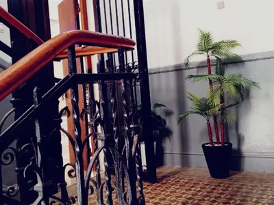 a staircase with two palm trees in a room at Casablanca City Center Neoclassic Flat in Casablanca