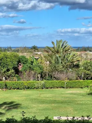 a green field with palm trees in the background at Chambre indépendante dans jardin calme avec vue mer Skhirat in Skhirat