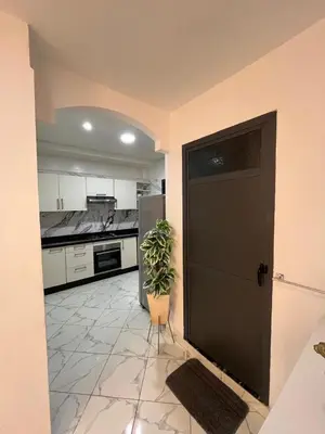 a kitchen with a door and a potted plant at Charming appartement next to the airport in Deroua