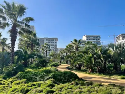 a road with palm trees and buildings in the background at Appart luxeux à zenata piscine , plage à 3 min in Aïn Harrouda