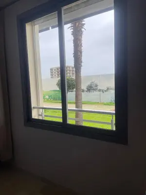 a window with a palm tree in a room at Taj collection 1 in Casablanca