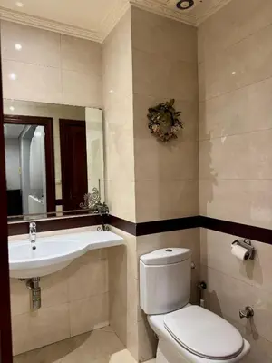 a bathroom with a toilet and a sink and a mirror at Spacious athène apartment in Maarif