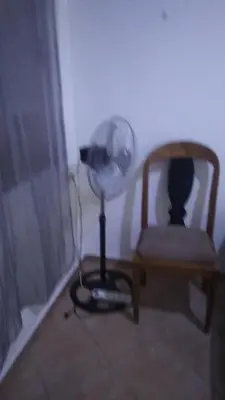a room with a fan and a chair and a cat at Belle chambre sidi maarouf in Casablanca