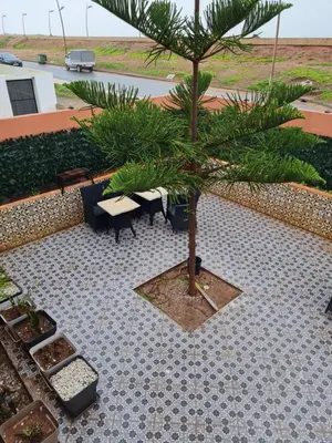 a small palm tree sitting on a tiled patio at Adnani in Temara