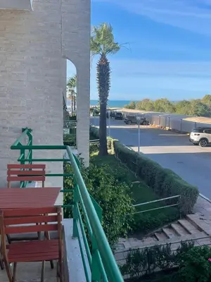 two benches sitting next to a building with a palm tree at Les perles de tamaris dar bouazza in Dar Mohammed Ould Haj Jilali