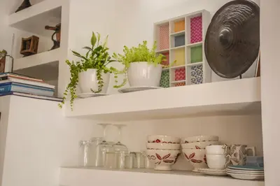 a shelf with plants and dishes in a kitchen at Appartement moderne moroccan/African décoration in Casablanca