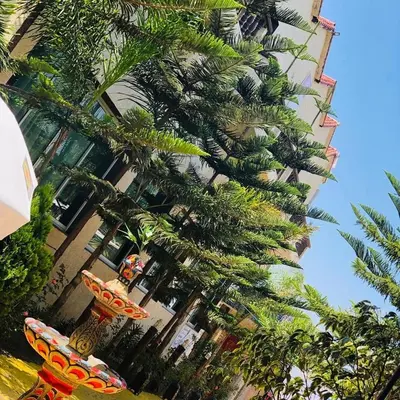 a group of palm trees in front of a building at reda land in O Ben Slimane