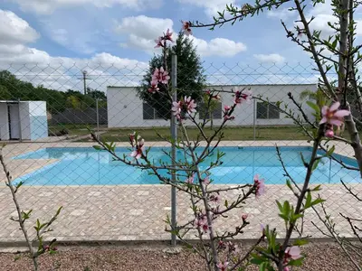 a fence next to a swimming pool with pink flowers at Palm Grove Farm in Tit Mellil