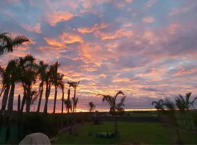 a sunset with a group of palm trees in a field at Elaaz Horse Farm in Azemmour