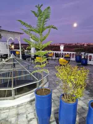 a palm tree in a blue pot on a patio at L'Oum Errebia in Azemmour