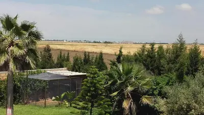 a small building in a field with trees and a fieldermottermott at Riad TANJIL in Casablanca