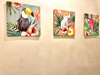 four paintings of a bird and a parrot on a wall at Best in Town - Central -Comfortable-in Racine in Casablanca
