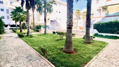 a group of palm trees in a park at Modern & Sunny new appartement 2 rooms in Rabat centre - Hay Riad in Rabat
