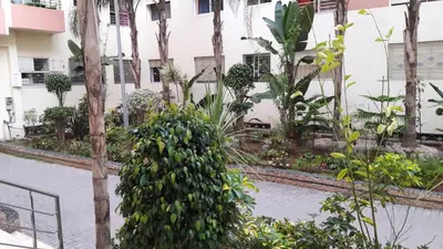 a plant in the middle of a courtyard at Apartment with Terrace in Casablanca