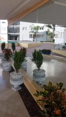 a group of potted plants in a building at BOUZNIKA Appartement 4 in Bouznika