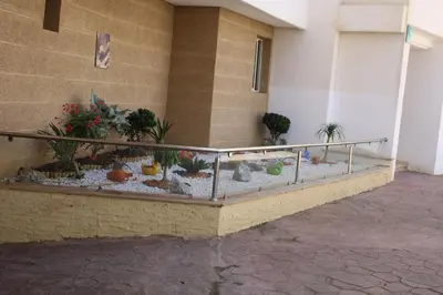 a balcony with cacti and plants in a building at BOUZNIKA Z2 in Bouznika