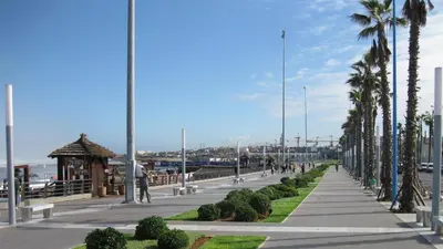 a walkway next to a beach with palm trees at Bright and Comfortable Stay by Stade Mohammed V in Casablanca