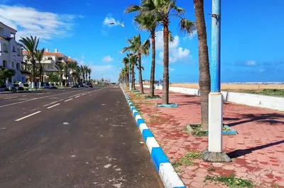 an empty street with palm trees on the side of the road at Appartement sidi rahal in Berrechid