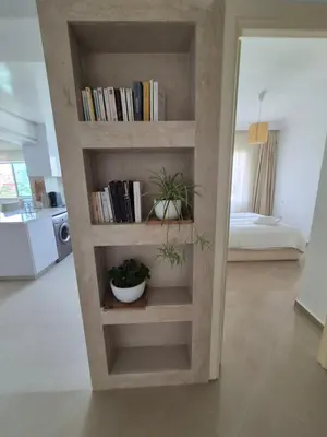 a book shelf with two potted plants in a room at My Cosy Place Rabat - Cosy Home Wifak Temara in Temara